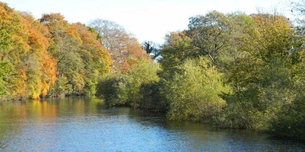 Riverview Apartment Ripon Zewnętrze zdjęcie